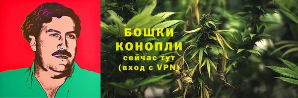 мет Нея