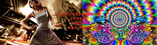 гидра Няндома