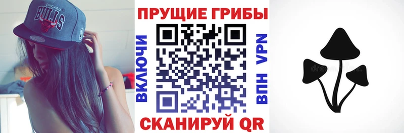 Псилоцибиновые грибы GOLDEN TEACHER  купить наркотики цена  ОМГ ОМГ вход  Калязин 